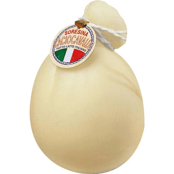 Latteria soresina