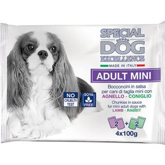 Special dog