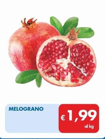 MD Discount MELOGRANO offerta