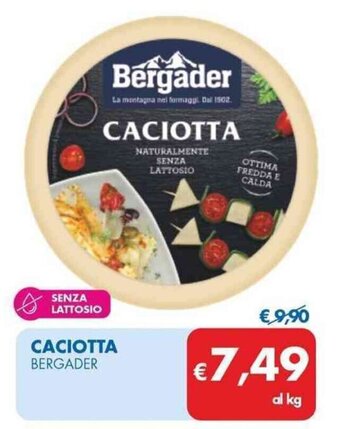 MD Discount CACIOTTA BERGADER offerta