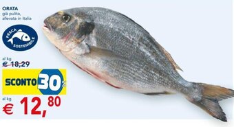 Esselunga ORATA offerta