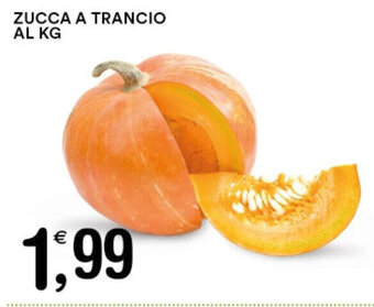 Gecop ZUCCA A TRANCIO offerta