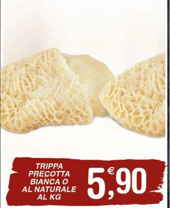Gecop TRIPPA PRECOTTA BIANCA O AL NATURALE offerta