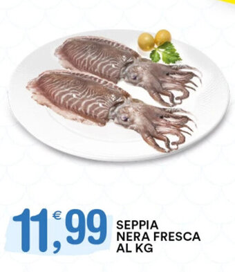 Gecop SEPPIA NERA FRESCA offerta