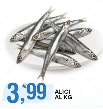ALICI AL KG