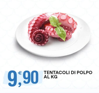 Gecop TENTACOLI DI POLPO AL KG offerta