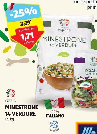 ALDI I COLORI DEL sapore MINESTRONE 14 VERDURE 1,5 kg offerta