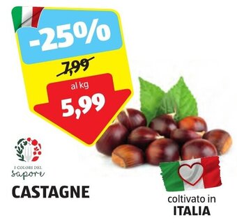 ALDI I COLORI DEL sapore CASTAGNE offerta