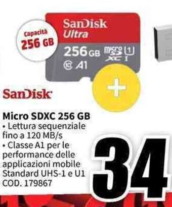 SanDisk Micro SDXC 256 GB