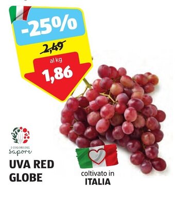 ALDI I COLORI DEL sapore UVA RED GLOBE offerta
