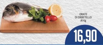 Supermercati Piccolo ORATE DI ORBETELLO offerta