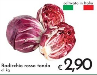 Radicchio rosso tondo