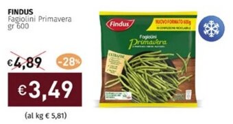 Prezzemolo e Vitale FINDUS Fagiolini Primavera gr 600 offerta