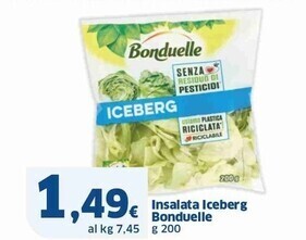 Sigma Bonduelle insalata iceberg offerta