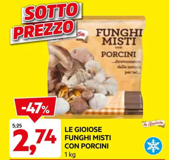 DPiù LE GIOIOSE FUNGHI MISTI CON PORCINI 1 kg offerta