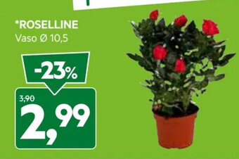 DPiù ROSELLINE Vaso Ø 10,5 offerta