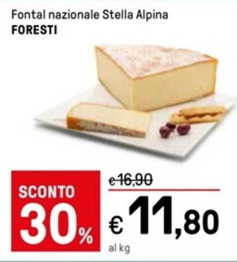 Fontal nazionale Stella Alpina FORESTI