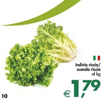 Indivia riccia/ scarola riccia al kg
