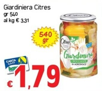 Giardiniera Citres gr 540