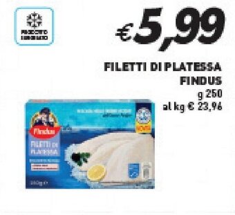 Supermercato Coal FILETTI DI PLATESSA FINDUS g 250 offerta