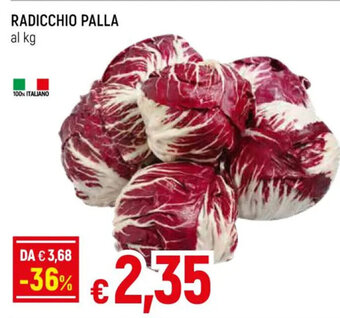RADICCHIO PALLA