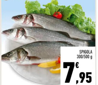 Conad SPIGOLA 300/500 g offerta