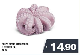 Deco Superfreddo POLPO RICCIO MAROCCO T6 G 800/1200 CA. offerta