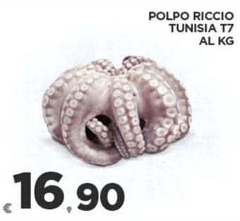 Deco Superfreddo POLPO RICCIO TUNISIA T7 offerta