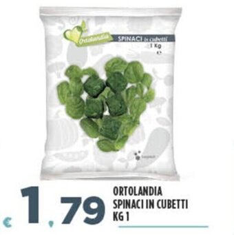 Deco Superfreddo ORTOLANDIA SPINACI IN CUBETTI KG 1 offerta