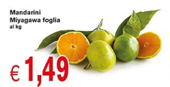 Mandarini Miyagawa foglia
