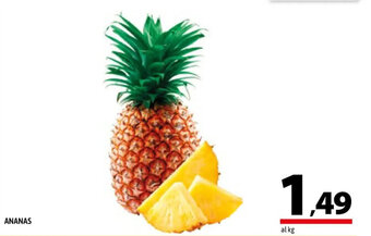 A&O ANANAS offerta