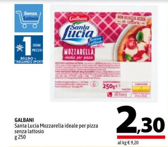 A&O GALBANI Santa Lucia Mozzarella ideale per pizza senza lattosio g 250 offerta