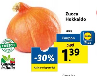 Lidl Zucca Hokkaido offerta
