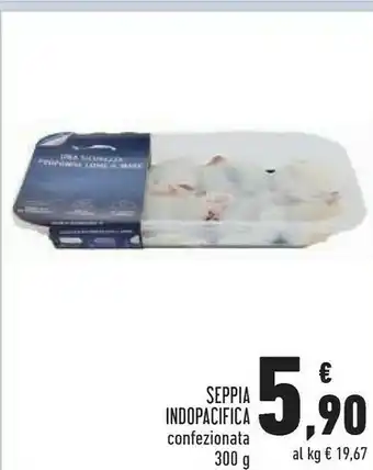 Conad Seppia Indopacifica offerta