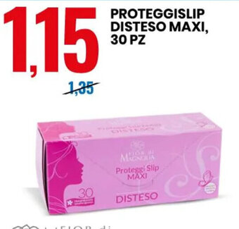 Eurospin PROTEGGISLIP DISTESO MAXI, 30 PZ offerta