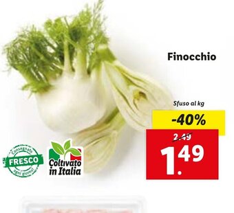 Lidl Finocchio offerta