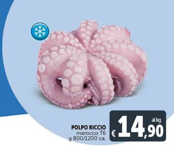 Deco Supermercati POLPO RICCIO marocco T6 g 800/1200 ca. offerta
