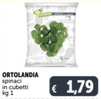 Deco Supermercati ORTOLANDIA spinaci in cubetti kg 1 offerta