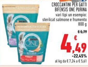 Conad CROCCANTINI PER GATTI BIFENSIS ONE PURINA vari tipi 800 g offerta