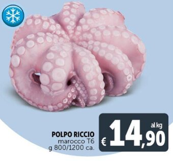 Deco Supermercati POLPO RICCIO marocco T6 g 800/1200 ca. offerta