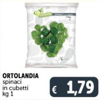 ORTOLANDIA spinaci in cubetti kg 1