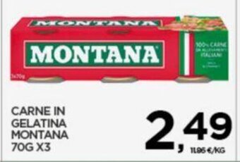 Interspar CARNE IN GELATINA MONTANA 70G X3 offerta
