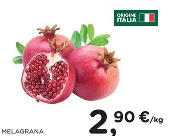 Poli Melagrana offerta