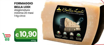 FORMAGGIO BELLA LODI stagionatura minima 20 mesi 1 kg circa