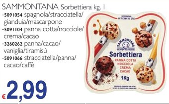SAMMONTANA Sorbettiera kg. 1