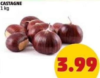 PENNY CASTAGNE 1 kg offerta
