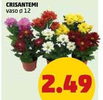 PENNY CRISANTEMI vaso ø 12 offerta