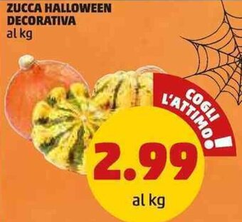 PENNY ZUCCA HALLOWEEN DECORATIVA al kg offerta