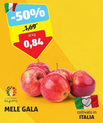 ALDI MELE GALA offerta