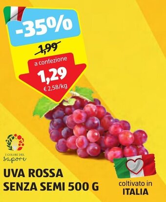 ALDI UVA ROSSA SENZA SEMI 500 G offerta